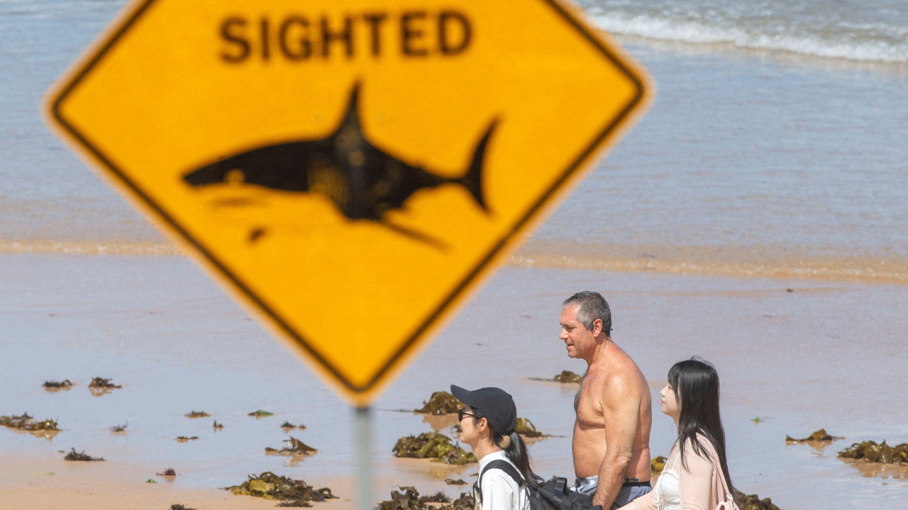 ajkule, napadi ajkula, plaža zatvorena zbog napada ajkula, znak da se ne ulazi u vodi zbog ajkula