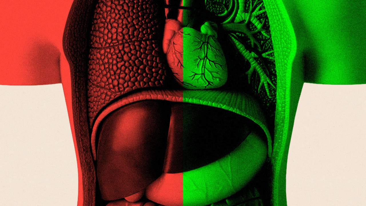 sistem za varenje, digestivni trakt, ljudska creva