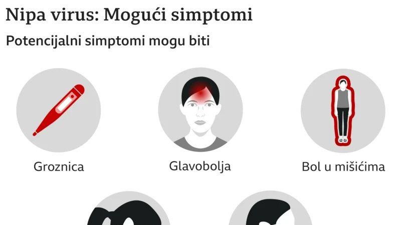 grafički prikaz virusa nipa, nipa virus, koji su simptomi nipa virusa