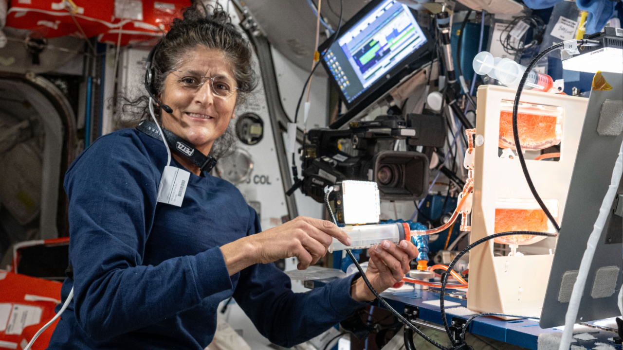 Sunita Vilijams u svemirskoj letelici sa slušalicama na glavi i plastičnom cebi u ruci, ima plavu majicu, naočale, gleda u kameru i smeje se, oko nje su kablovi