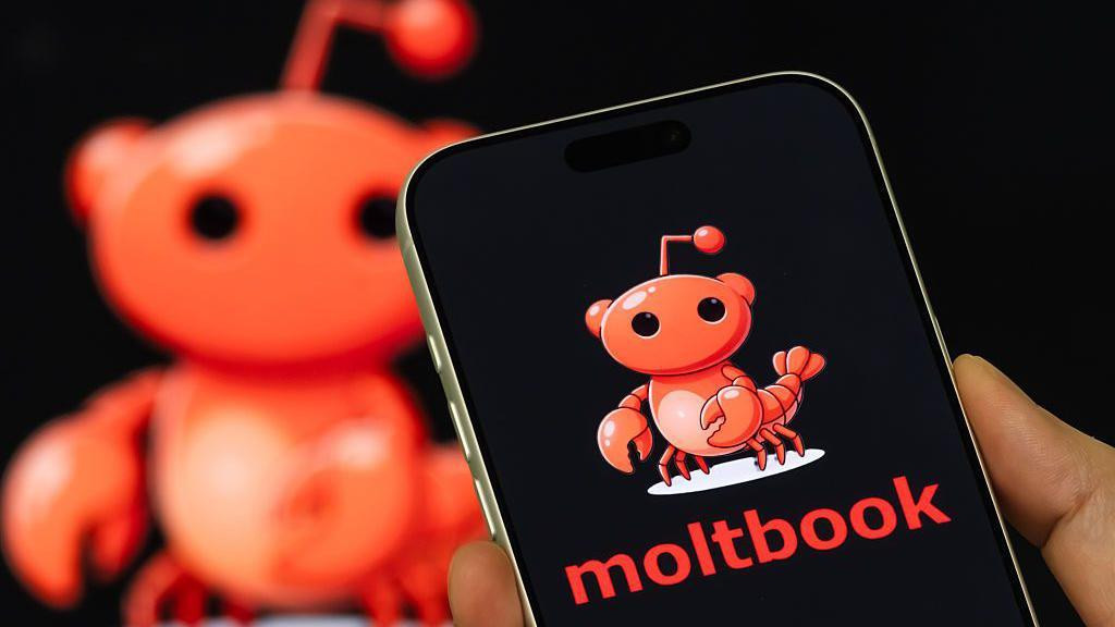 Logo Moltbuka 
