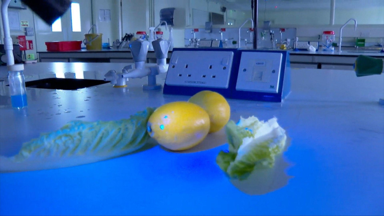 Limun i komadići zelene salate nalaze se na laboratorijskoj radnoj površini pod UV svetlom. Na limunu se pojavljuju male plave tačke koje predstavljaju kapljice iz kontaminirane vode.