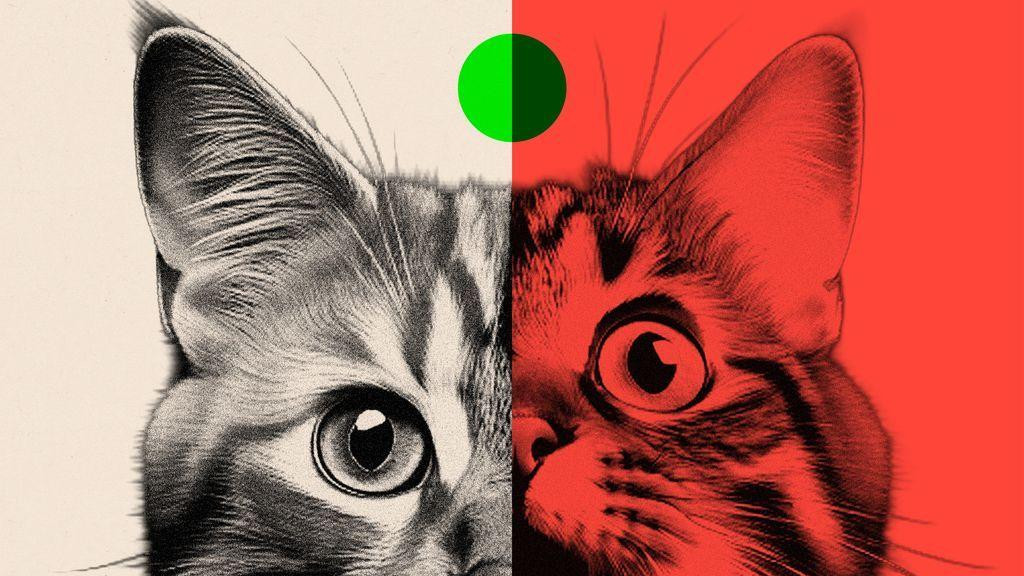 Ilustracija mačke, pola fotografije crno belo, pola crveno belo