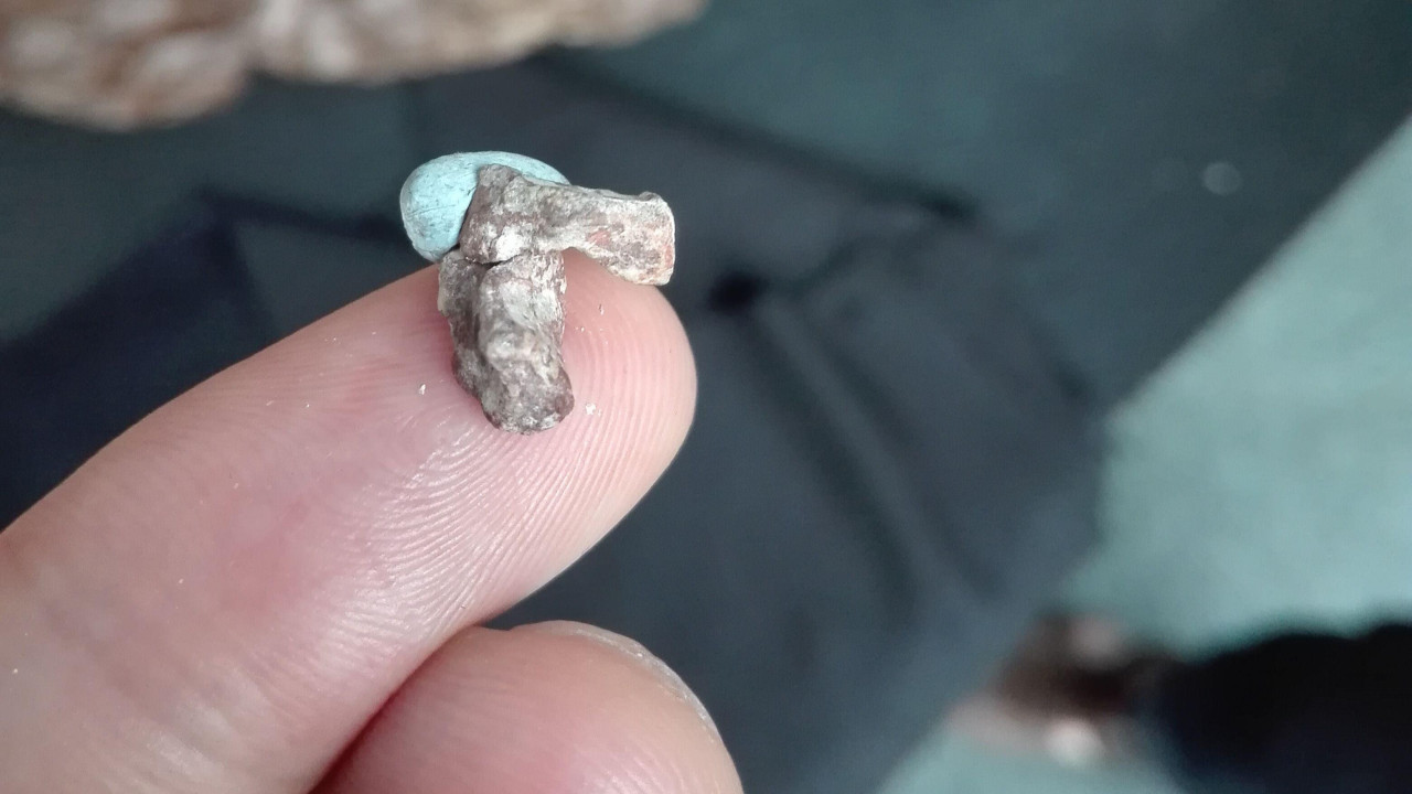 Dve sitne kosti koje leže na vrhu prsta.