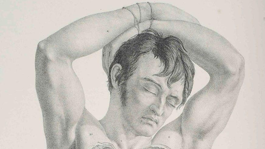 Ilustracija iz knjige Hirurška anatomija Džozefa Maklisa