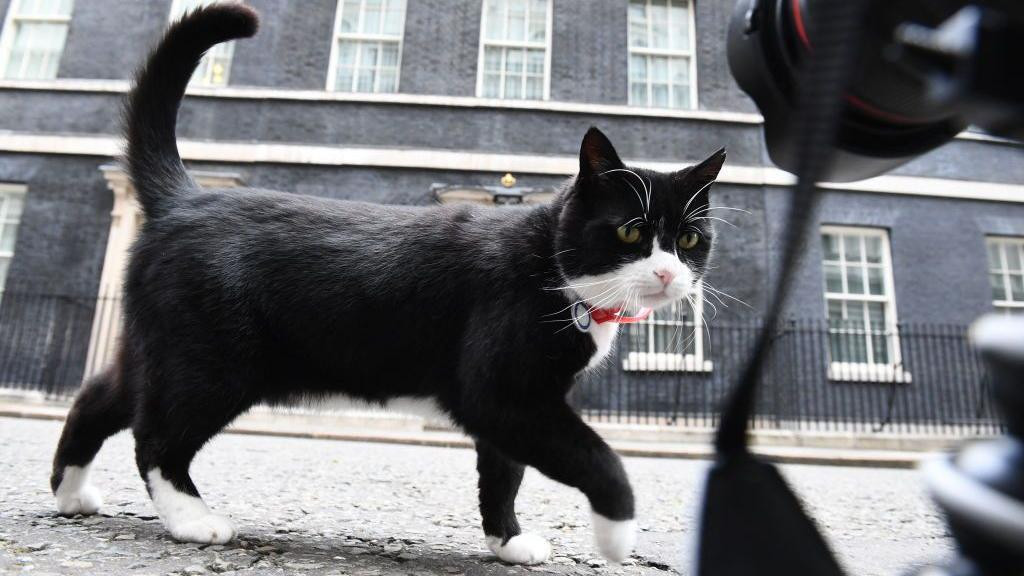 Palmerston 