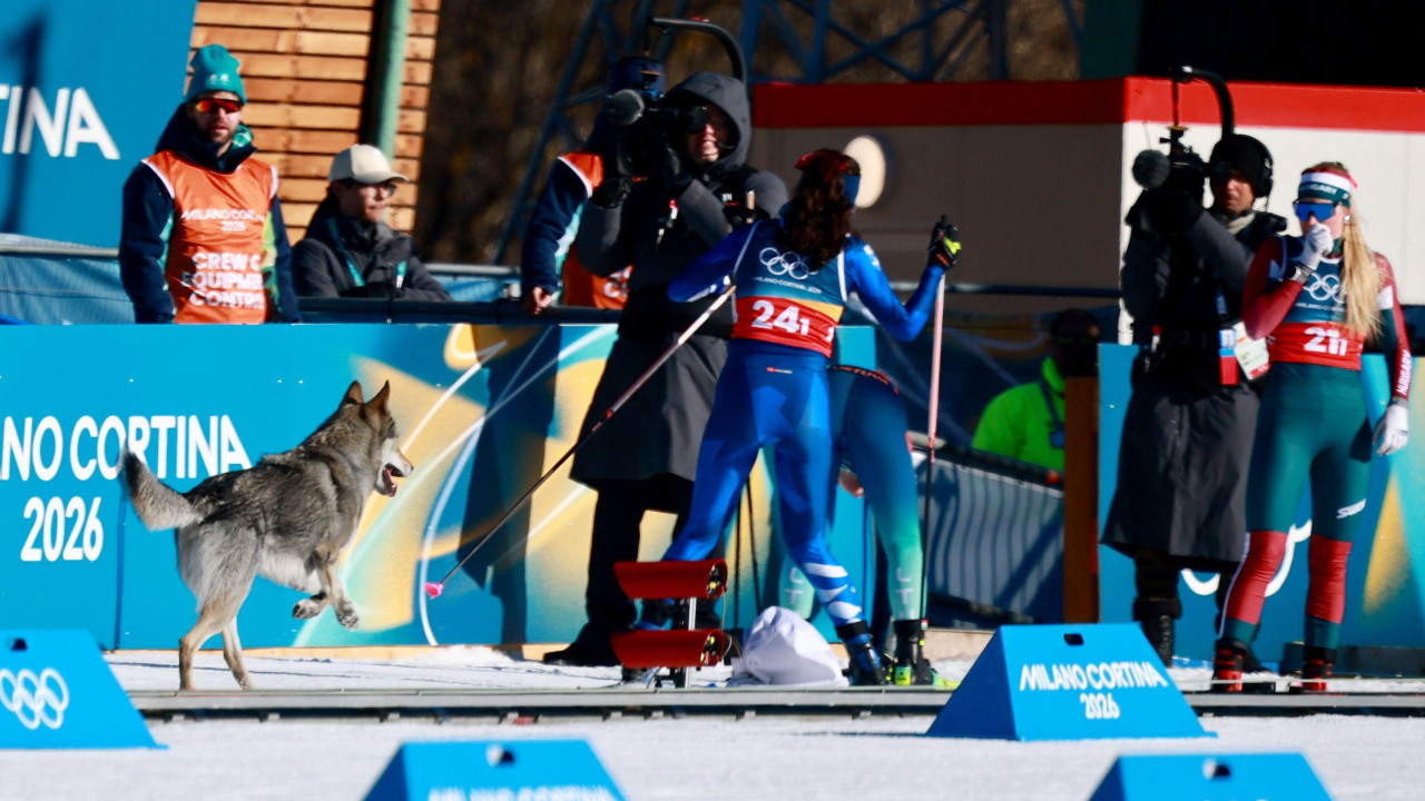 Pas na stazi tokom kvalifikacija u ženskom timskom sprintu u skijaškom trčanju na Zimskim olimpijskim igrama u Italiji 2026.