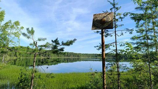 Šuma i jezero