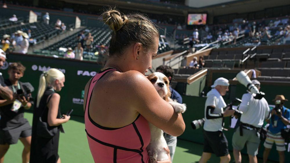 sabalenka i kuče