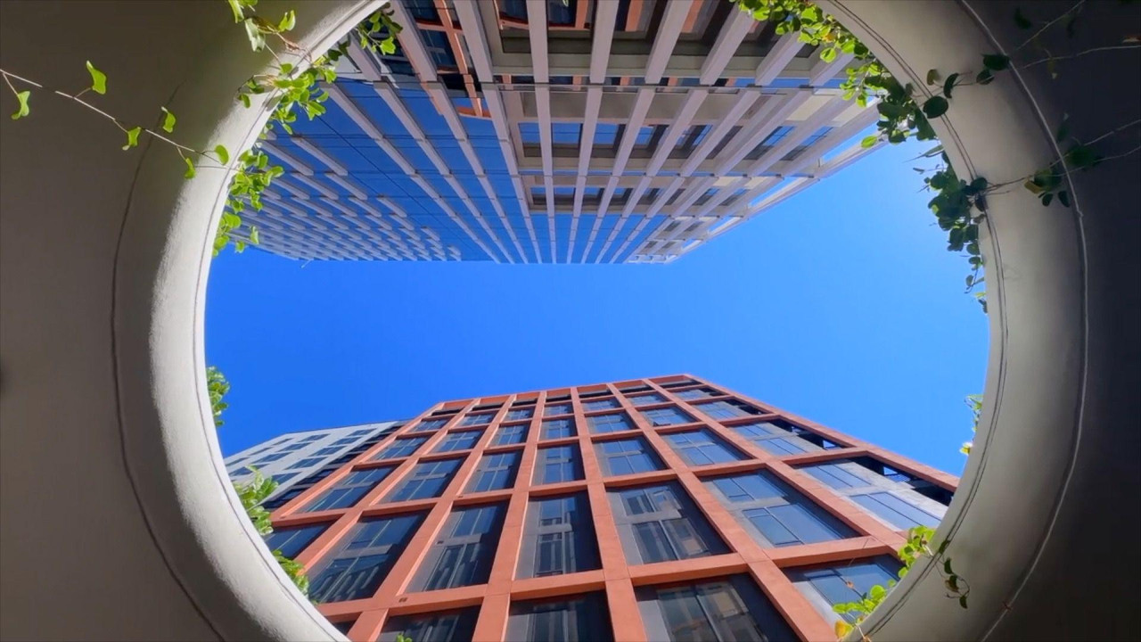 An artistic photo of two modern multi-storey buildings viewed through a circular architectural opening framed with green vines. A clear bright blue sky is seen above them. 