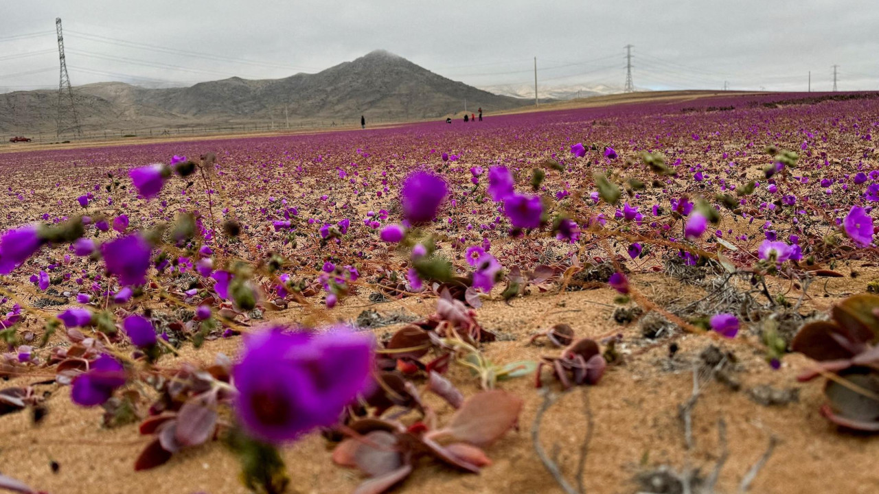 Pustinja Atakama u Čileu