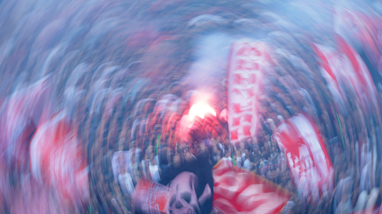 zvezda, navijači zvezde