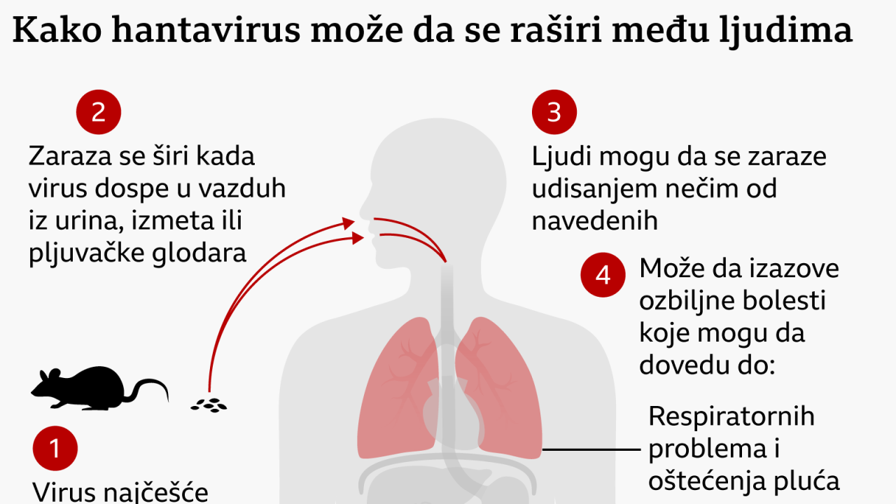 kako se širi hantavirus, hantavirus, zaraza