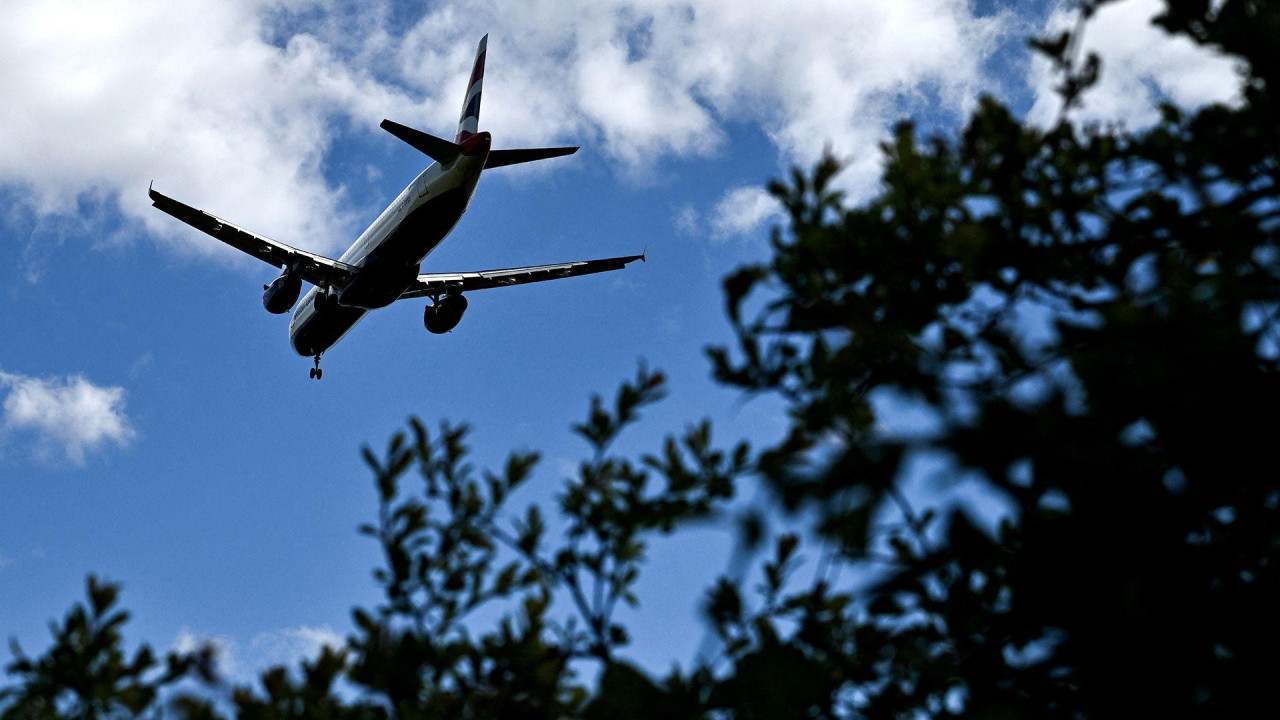 avion na nebu iznad drveća 
