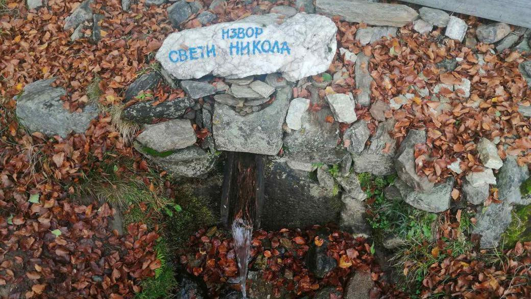Izvor Sveti Nikola, na Vlasinskoj visoravni, gde je pronađena Bodanella lauterborn