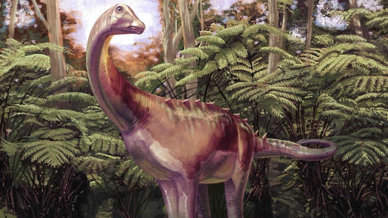 Titanosaur ilustracija