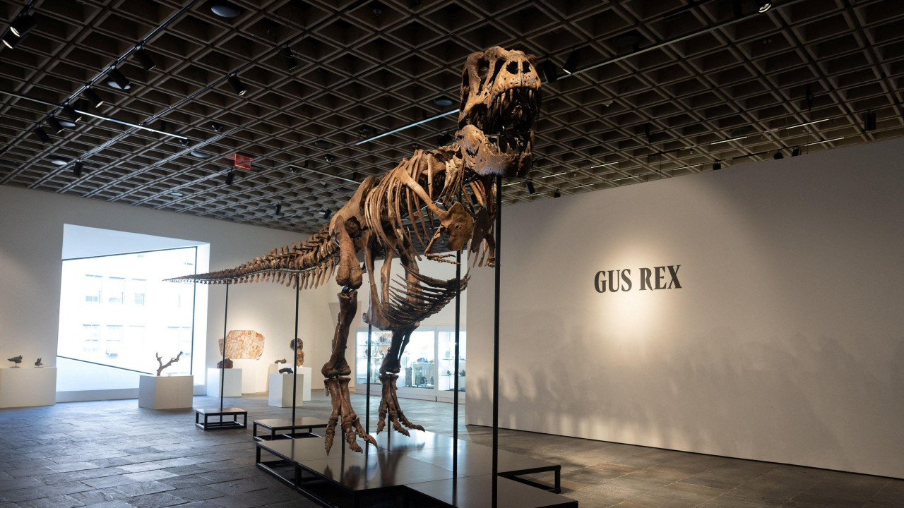 dinosaurus