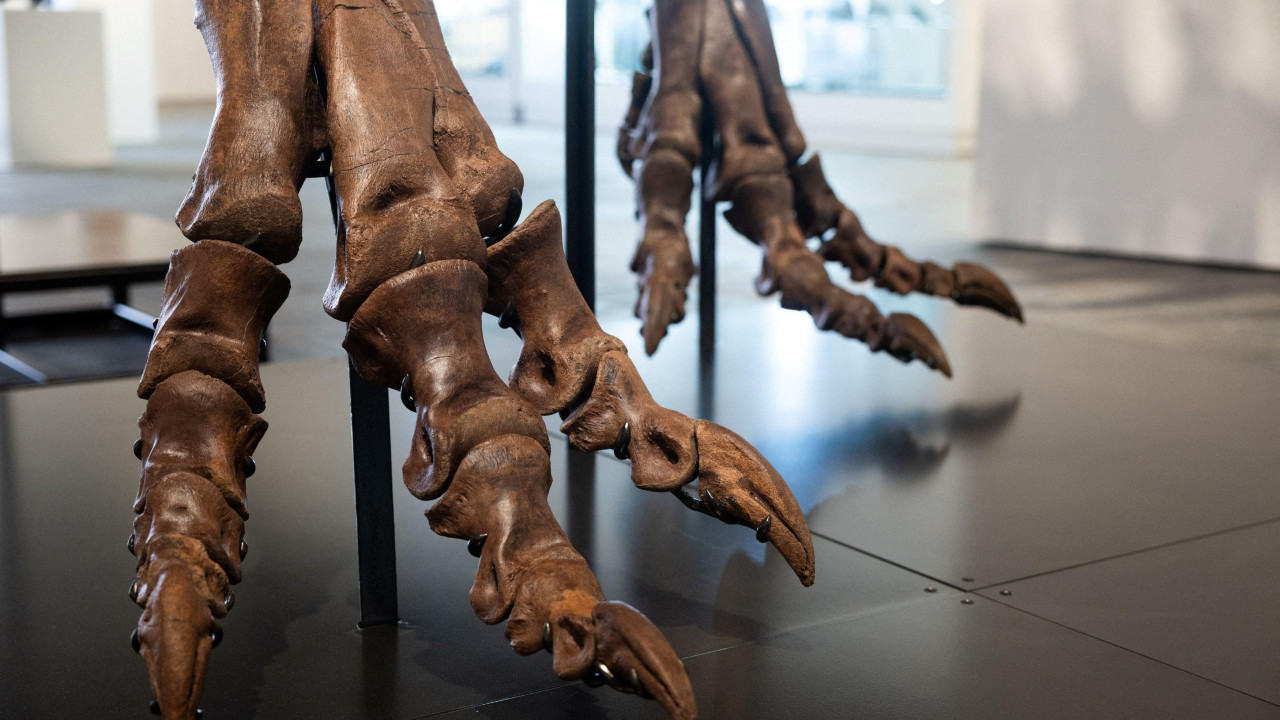 dinosaurus