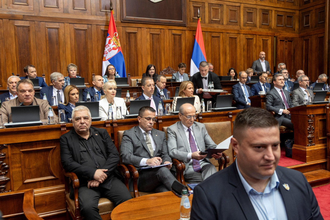 Vlada Srbije u Skupštini