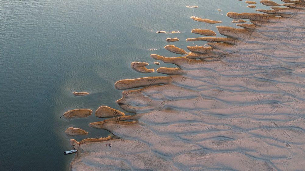 dunav, nizak vodostaj dunava, dunav kod apatina