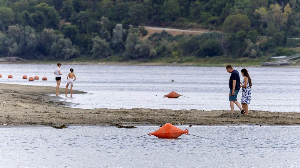 dunav, nizak vodostaj dunava, dunav kod novog sada