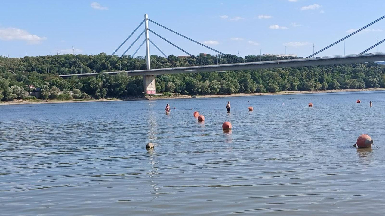 dunav, nizak vodostaj dunava, dunav kod novog sada