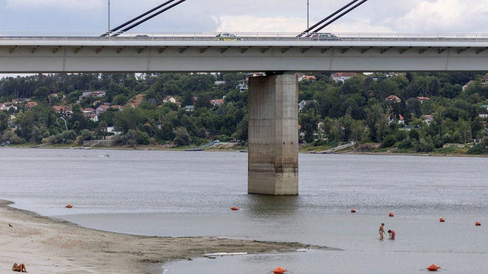 dunav, nizak vodostaj dunava, dunav kod novog sada