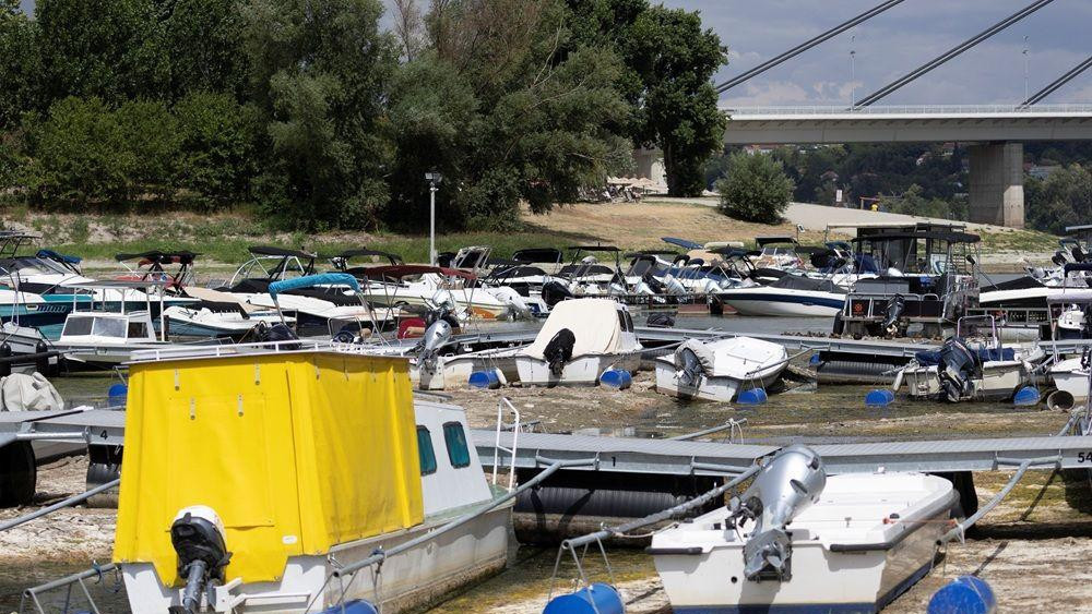 dunav, nizak vodostaj dunava, dunav kod novog sada