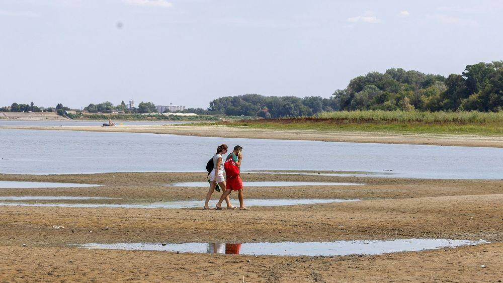 dunav, nizak vodostaj dunava, dunav kod apatina