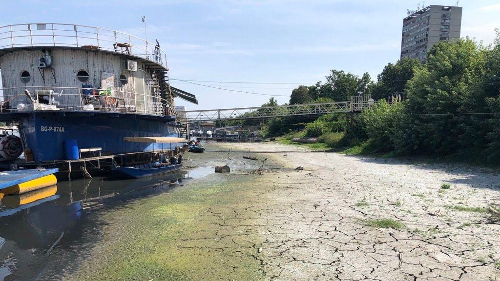 dunav, nizak vodostaj dunava, dunav u Beogradu