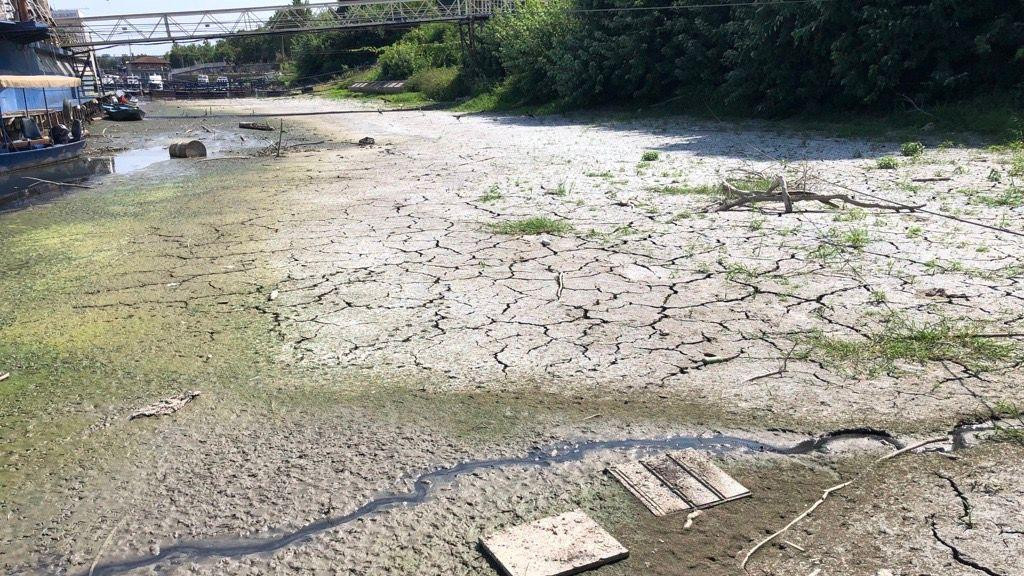 dunav, nizak vodostaj dunava, dunav u Beogradu