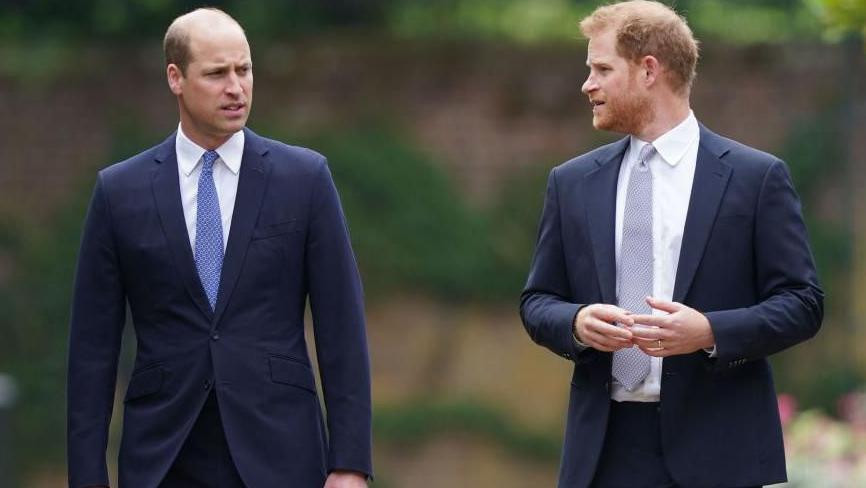 vilijam i hari, britanski prinčevi