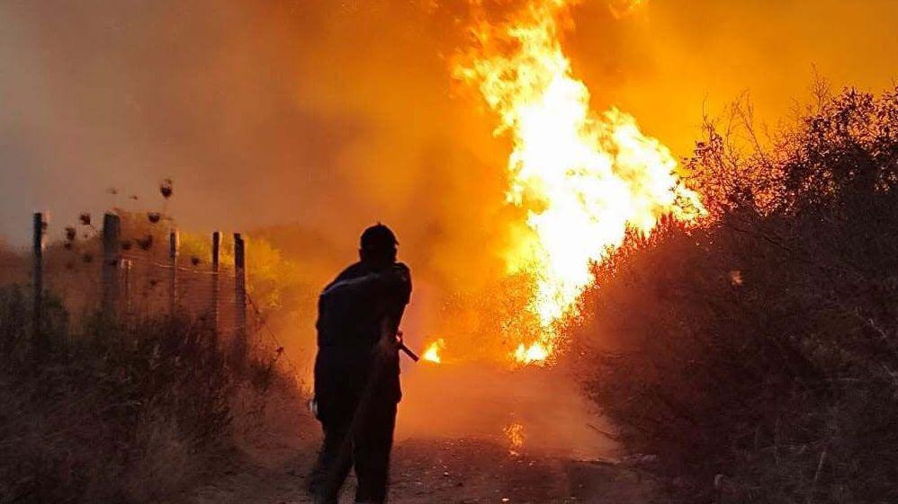Pripadnik alžirske Civilne zaštite tokom gašenja velikog šumskog požara