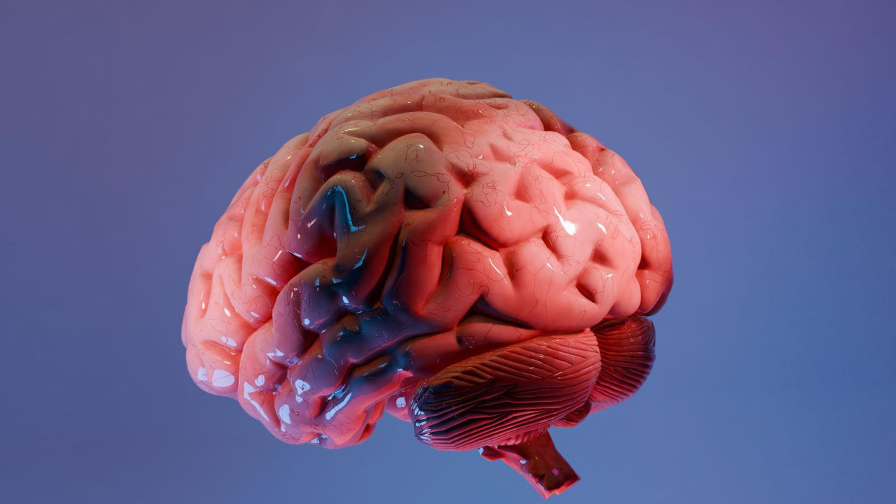 
                    Minimalist 3D illustration of a human brain divided into contrasting blue and pink halves on a dark background. The visual represents the balance between logic and creativity, analytical thinking and imagination. Suitable for concepts related to neuroscience, brain training, artificial intelligence