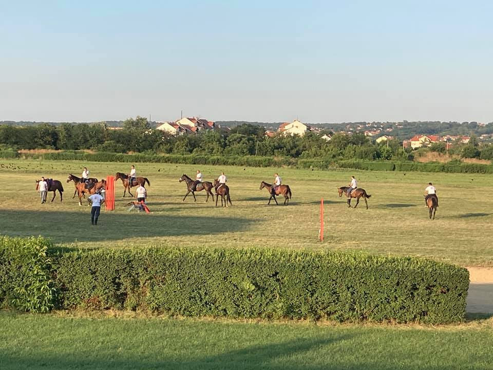 Foto:facebook.com/ljubicevskekonjickeigrepozarevac