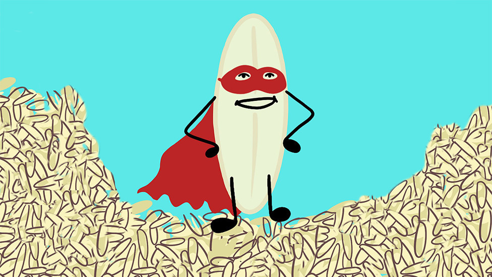 A grain of rice dressed as a superhero