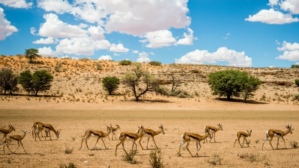 Afrika