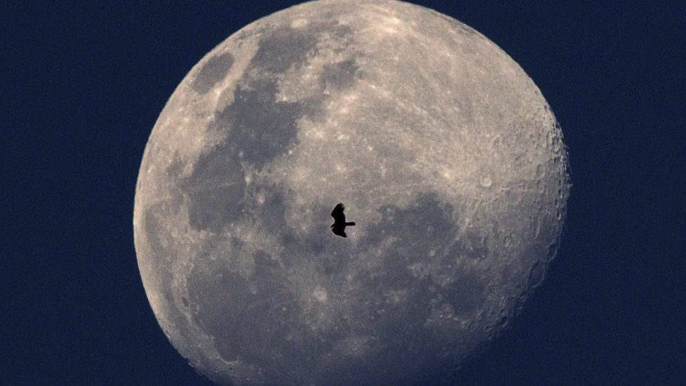 Predviđa se da će „kolebanje" Mesečeve orbite, zajedno sa rastom nivoa mora zbog klimatskih promena, 2030-ih dovesti do povećanja opasnosti od plavljenja obala