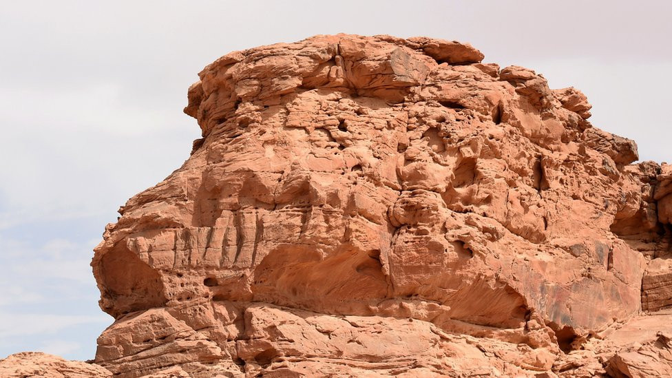 Kamila uklesana u steni u Saudijskoj Arabiji