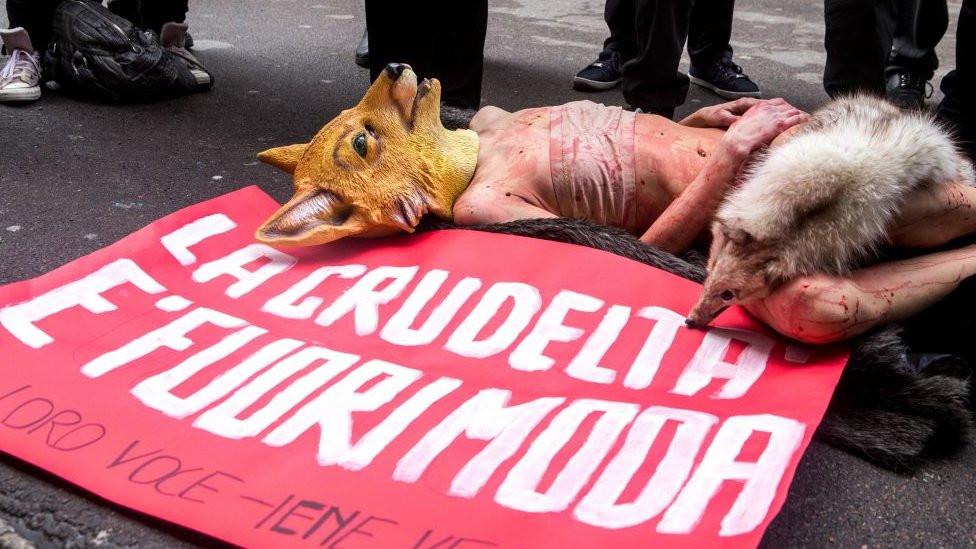 životinje, krzno, protest