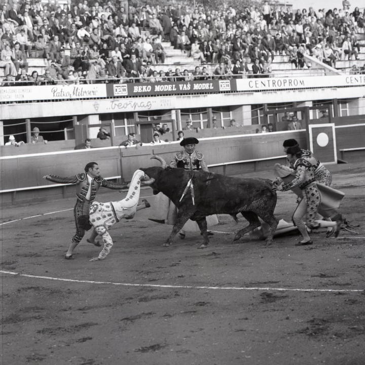 Beogradska korida i Luis Miguel Domingin