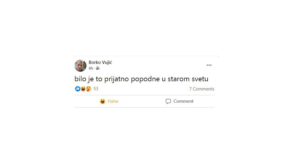 borko vujić