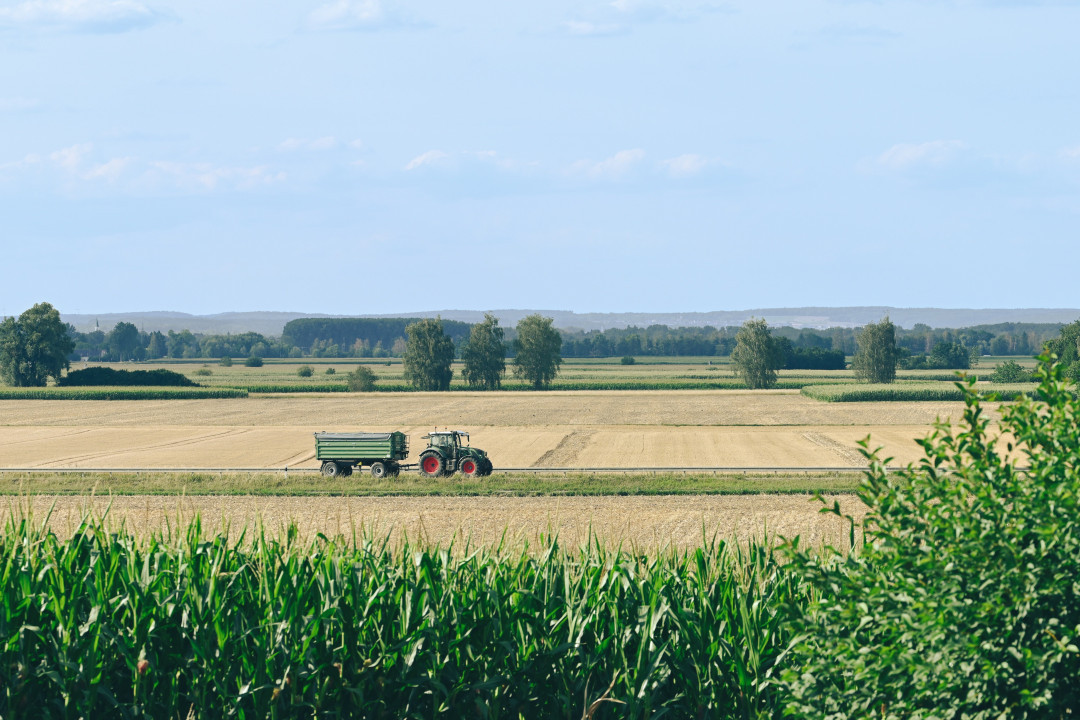 Foto:Ilustracija/Pixabay