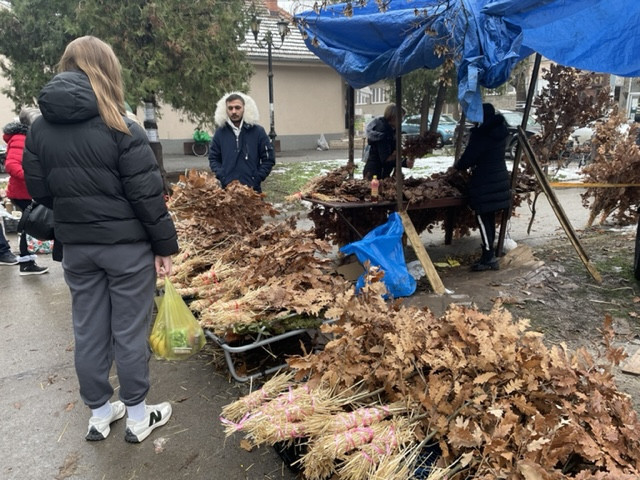 FOTO: Boom93/N.Stojićević