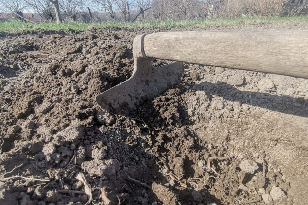 Foto: J.Rogožarski/Boom93