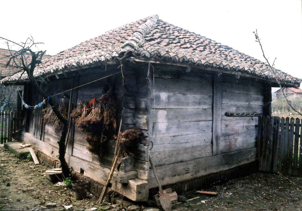 Foto: Jugoslav Todorović