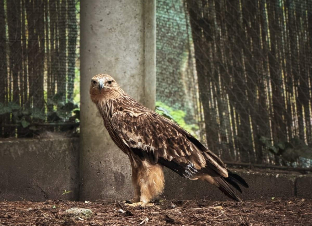 Foto: Zoo Vrt Palić