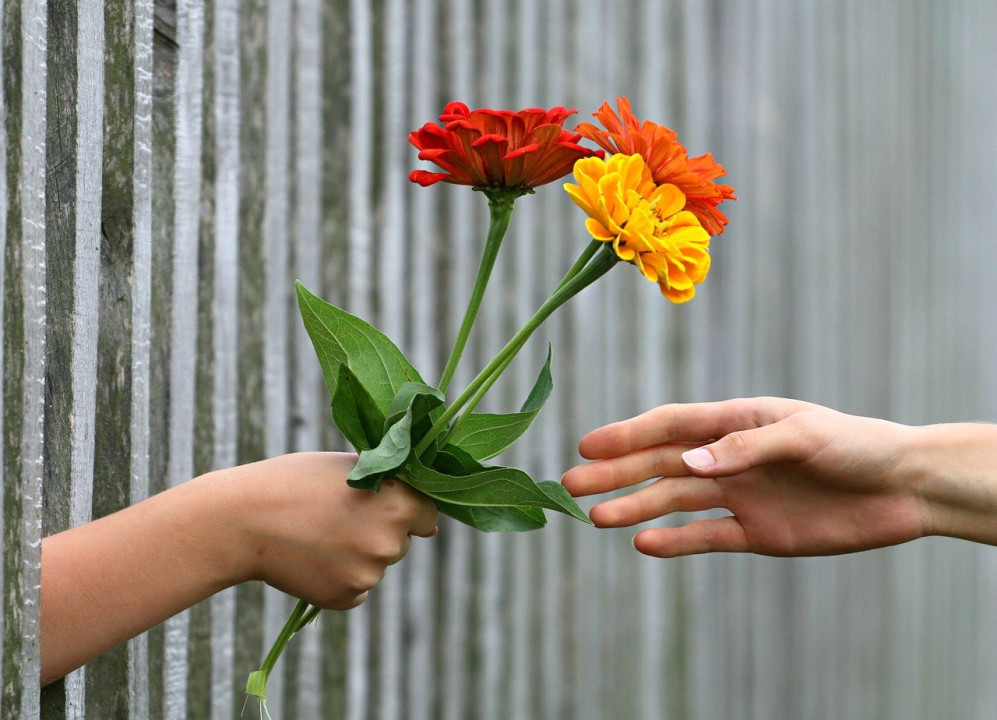 Foto/cveće pokloniti nekome/ ilustracija Pixabay
