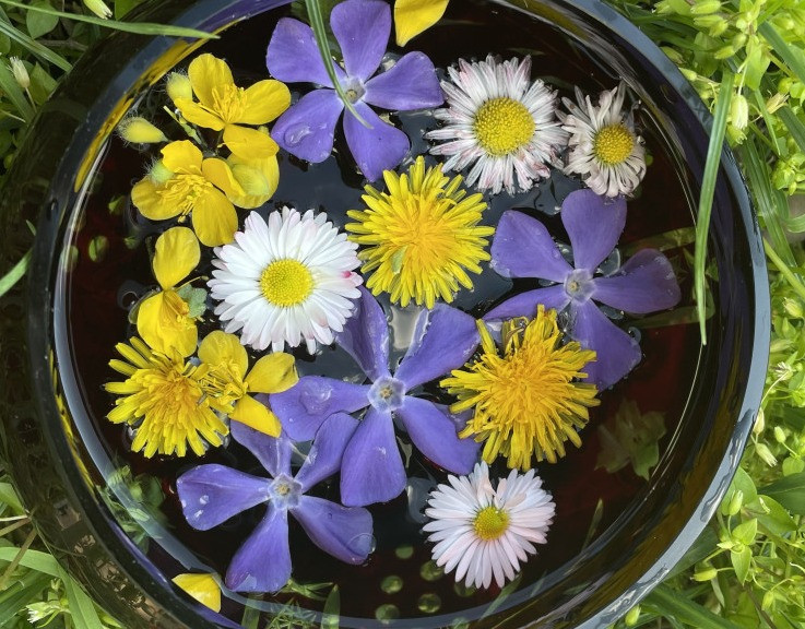 Foto:J.Rogožarski/Boom93