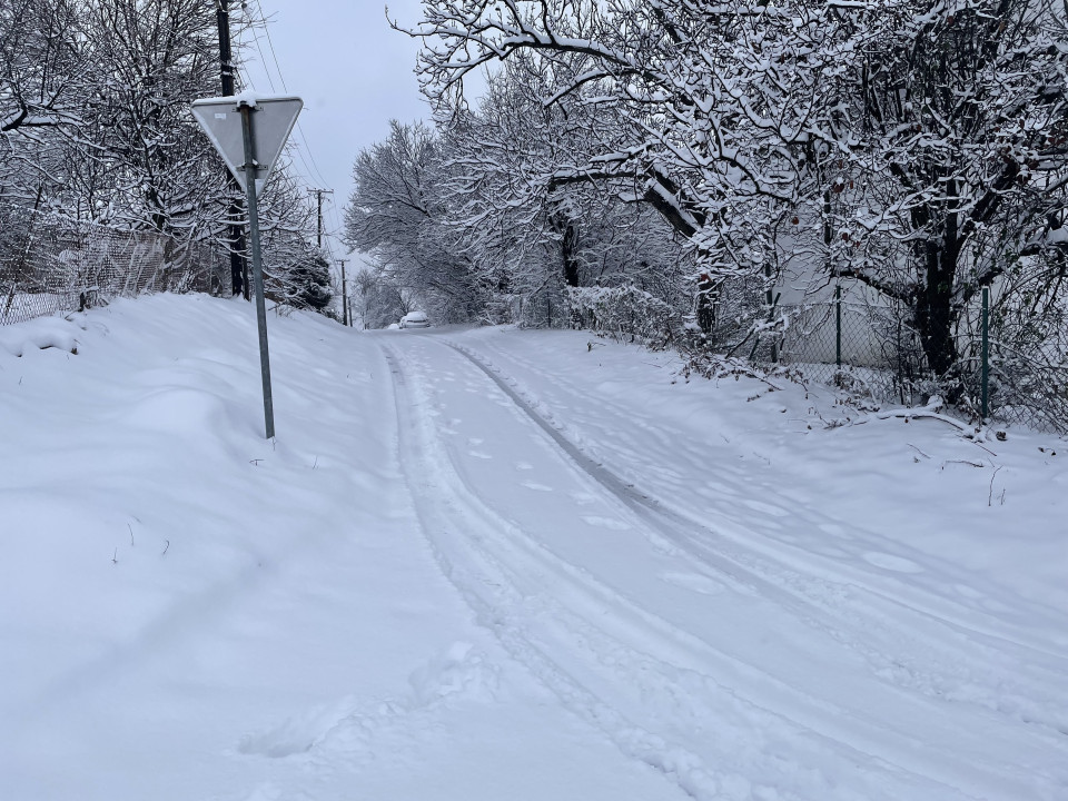 Sliku poslala Milica